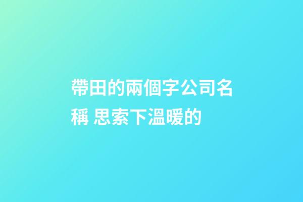 帶田的兩個字公司名稱 思索下溫暖的-第1張-公司起名-玄機派